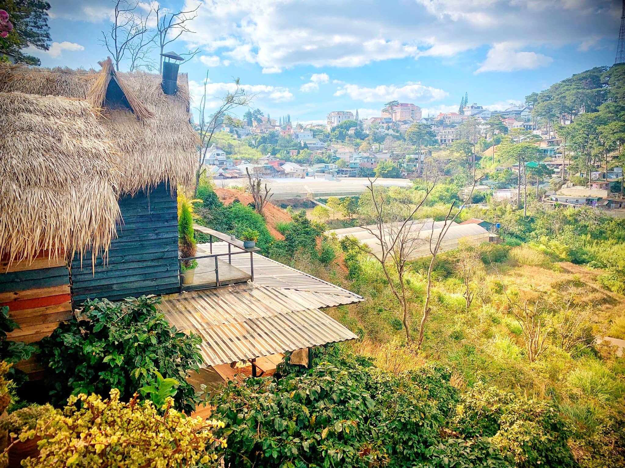 The Wilder-nest - Homestay Đà Lạt view đẹp 02