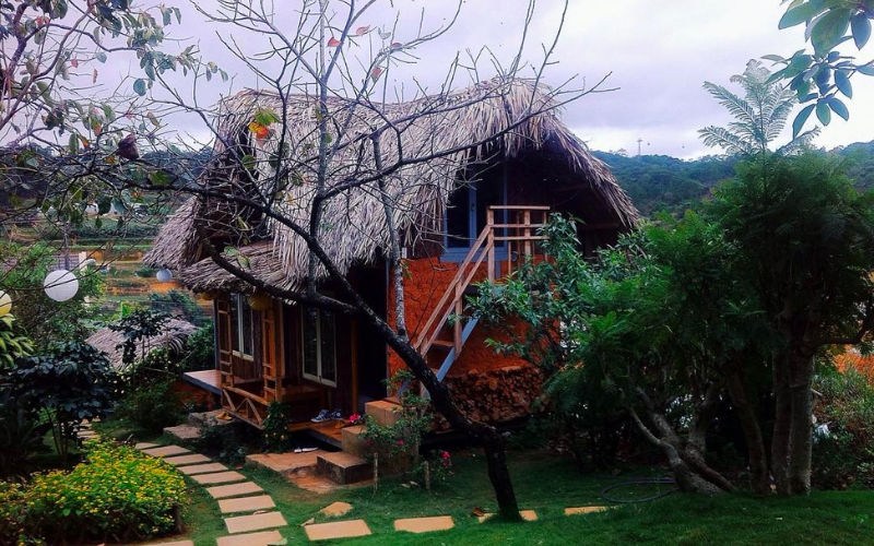 Củi Homestay