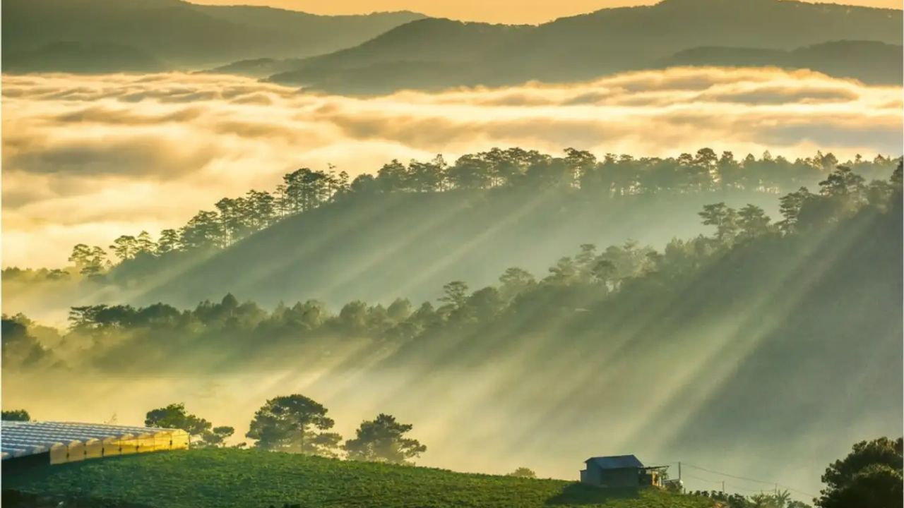 dia-diem-san-may-da-lat